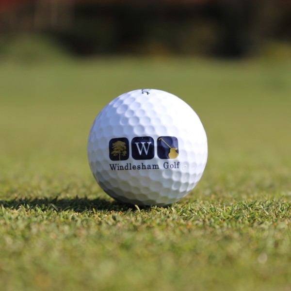 WGC Ball Logo 600x600